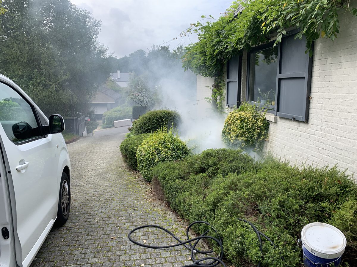 Fumée envahissant un jardin lors d'un test d'étanchéité du réseau.